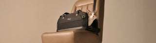Cat peeking out from a Dupree pet carrier on a beige chair