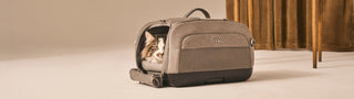 Dupree pet carrier with a cat inside on a beige background