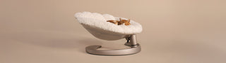 Cat lying on a Shell pet bed against a beige background