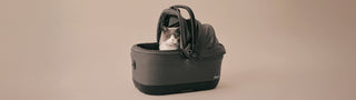 Cat inside a Tavo pet car seat on a beige background
