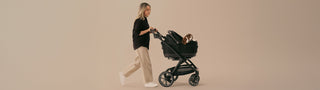 Woman pushing a Roscoe stroller with two puppies in a Tavo pet car seat on a beige background