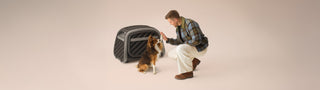 Man high-fives an Australian Shepherd next to Everett Pet Crate