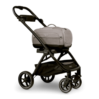 Tavo Pets Dupree I crash-tested pet car seat and Roscoe pet stroller frame in Merle gray