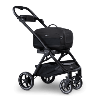 Dupree + Roscoe Pet Travel System