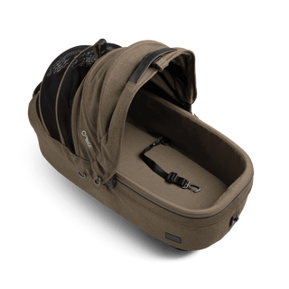 medium pet carrier with open canopy and leash, brindle