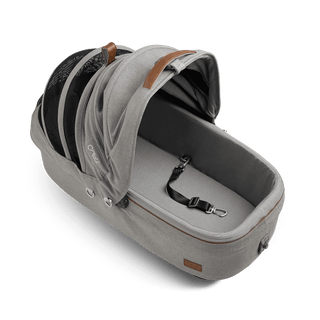 medium pet carrier with open canopy and leash, merle