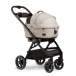 small pet carrier with canopy on stroller