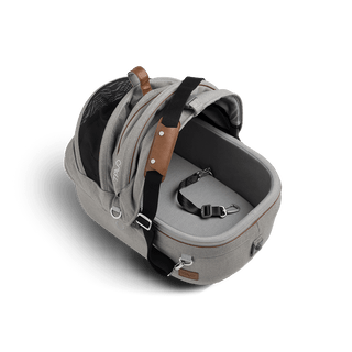 small pet carrier with open canopy and leash, merle