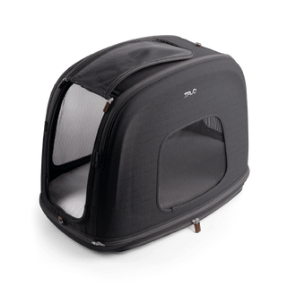 Tavo Pets Crispin medium crash-tested pet travel crate in Onyx black spacious interior