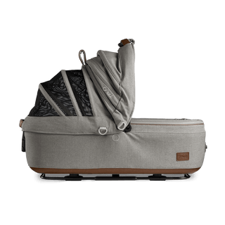 medium pet bed with mesh panels in canopy, merle