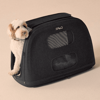 Dog inside of Tavo Pets Crispin large crash-tested pet travel crate in Onyx black