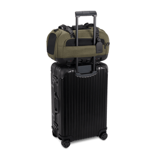 Dupree II pet car seat in the fern fashion shown on top of luggage using the trolley sleeve - view 6