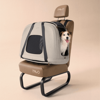 Dog inside of Tavo Pets Crispin medium crash-tested pet travel crate in Merle gray