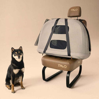 Crispin secured to a vehicle seat with strap next to sitting dog
