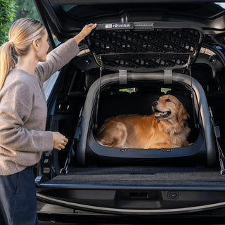 A woman standing with her hand on the Everett Car Crate's door about to close it while her Golden Retriever dog sits happily inside