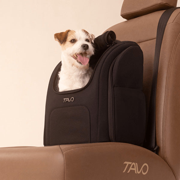 Dog inside the Kamella pet backpack attached to a car seat.