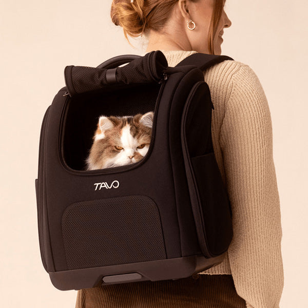 Woman is wearing Kamella pet backpack with window rolled up as a cat looks out from the inside.