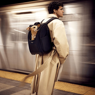 Man in trench coat stands in front of moving subway wearing Kamella pet backpack. Dog looks out from rolled up window.