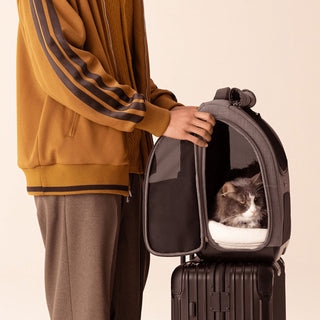 Man holds mesh side door open on Kamella pet backpack which is sitting atop suitcase using trolley sleeve. Calm cat is lying inside.