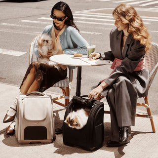 Two women sit outdoors at a patio cafe in the sun with their pets and the Kamella pet backpack displaying sun-protective fabrics.