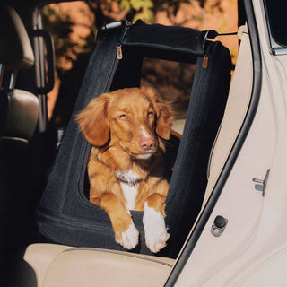 Dog in a Crispin travel crate inside a vehicle with a blurred natural background