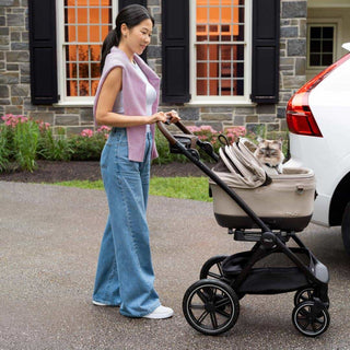 Woman pushing a Roscoe stroller with a pet carrier attached, standing next to a car.