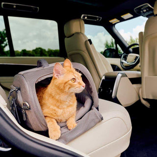 Cat in a Dupree pet car seat inside a car