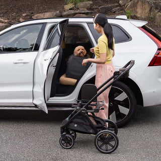 Woman with a dog in Hendrick car seat getting into a Roscoe stroller next to a white car.
