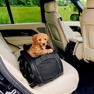 Dog in a Dupree pet carrier inside a car with a green field outside
