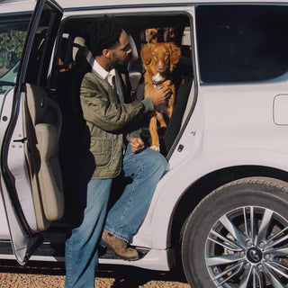 Man getting a dog out of a car, with a focus on the interaction between them.