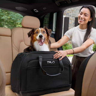 Woman with a dog in a car, preparing to use a Crispin pet crate.