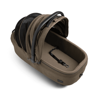 medium pet carrier with open canopy and leash, brindle