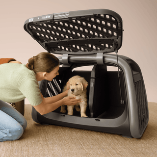 The Everett L crate divider installed in the pet cargo crate with a woman petting a golden retriever puppy inside of it 