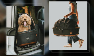 Collage of two images: On the left, a happy dog sits comfortably in a pet car seat in the backseat of a car. On the right, a girl walks away, carrying the Maeve pet car seat by its handle.