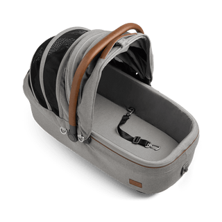 medium pet carrier with open canopy and leash, merle