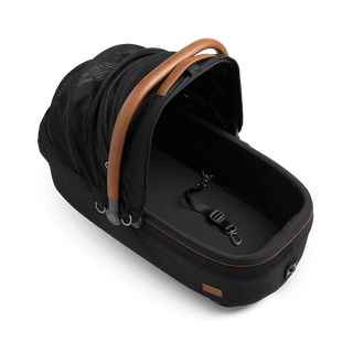 medium pet carrier with open canopy and leash, onyx