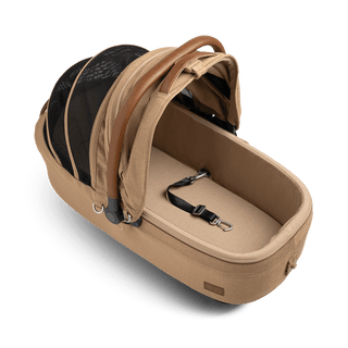 medium pet carrier with open canopy and leash, sable